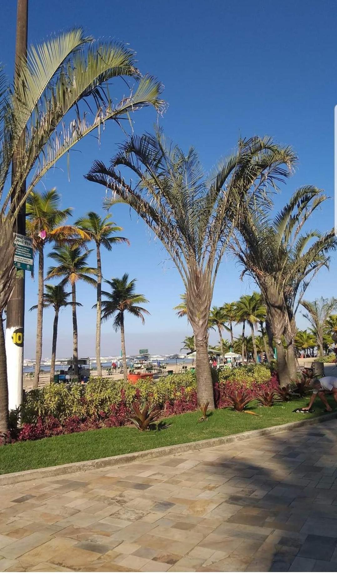 Casa Veraneio Familia Matos Praia Grande (Santos) Exteriör bild